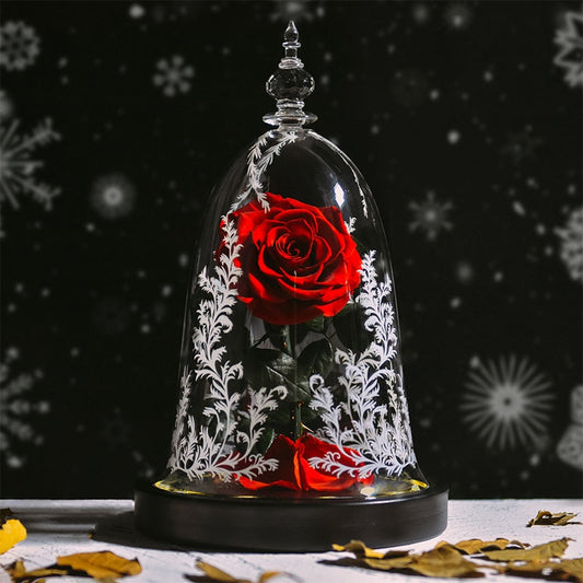 Christmas Beauty and The Beast Preserved Roses In Glass Forever Eternal Rose Flowers