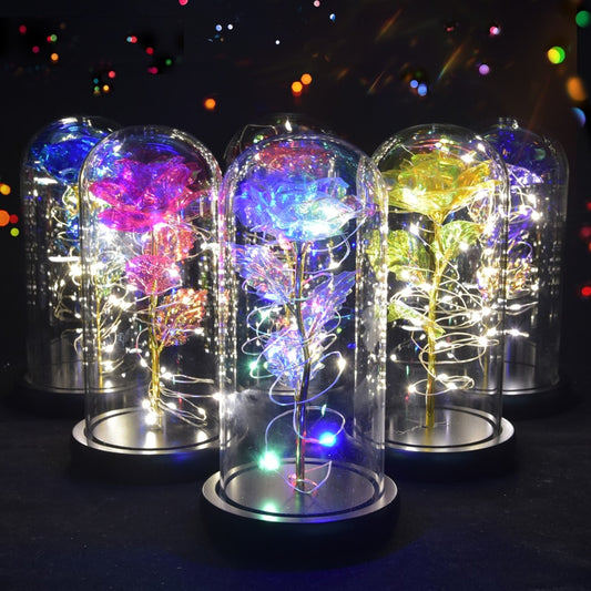 Beauty and The Beast Preserved Rose Flowers with LED lights  in a Glass Galaxy.