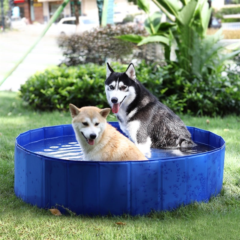 Summer Dog Swimming Pool Tub - blueselections