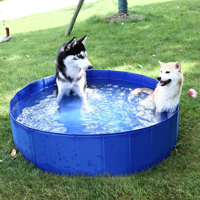 Summer Dog Swimming Pool Tub - blueselections